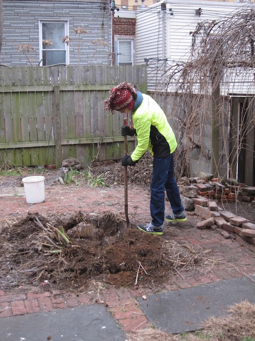 Stump Removal 1